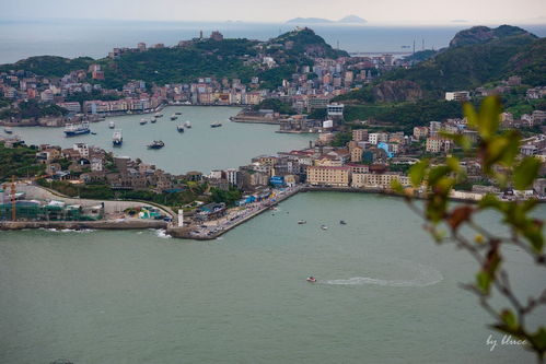 臺州的?！涟雿u